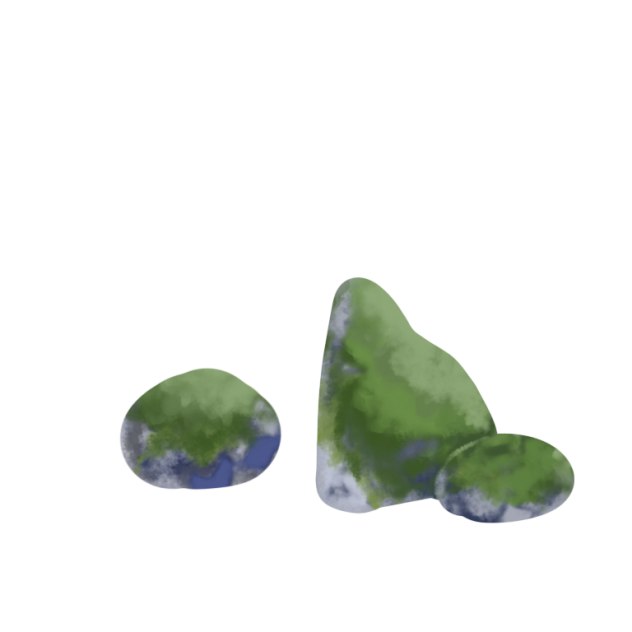 rock with moss