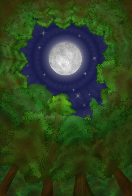 Night Forest - ibisPaint