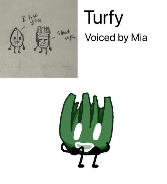 Turfy