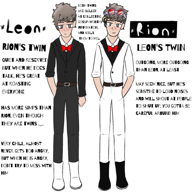The Twins