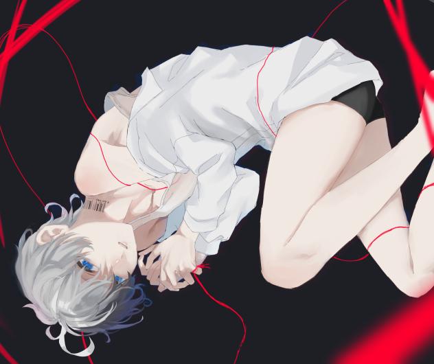 運命自招