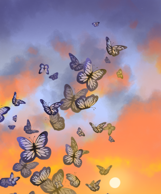Butterfly sunset