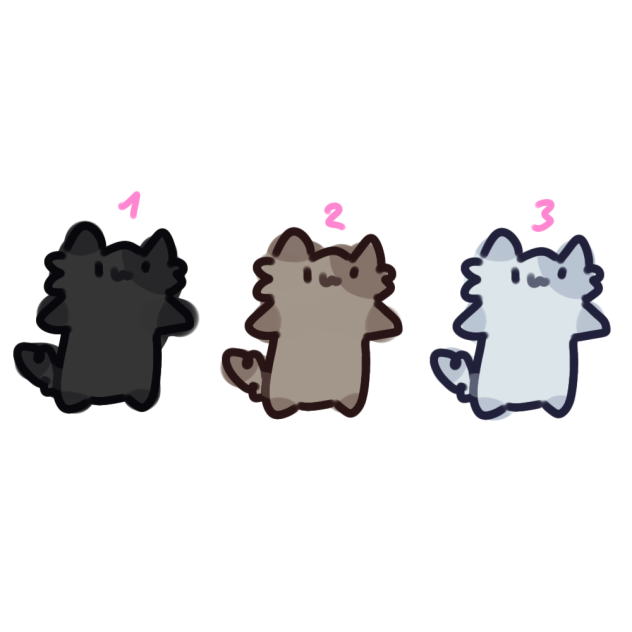 3 cats !