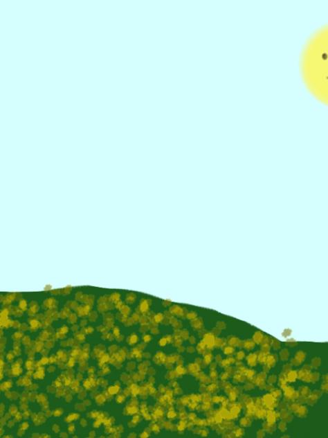 sunny summer morning😇