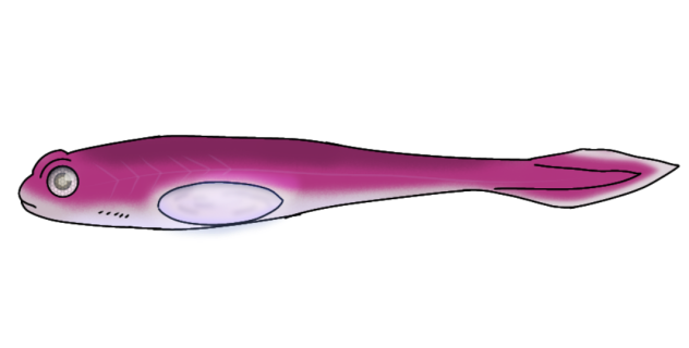 Mental-fry render