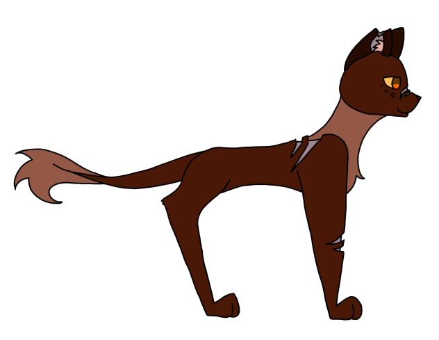 Antpelt Design