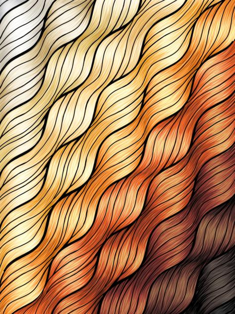 hair study