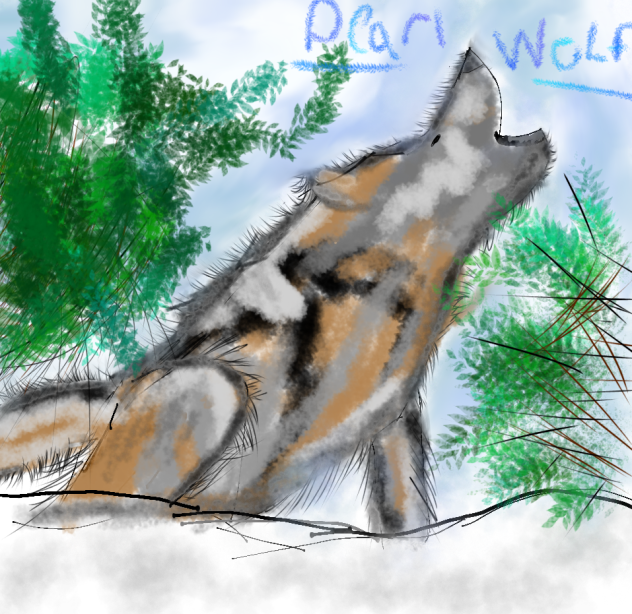 wolf