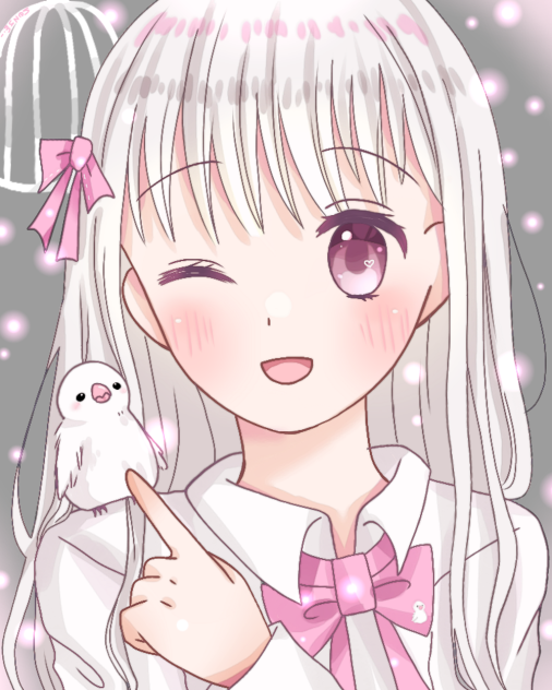 ◽文鳥さん💕
