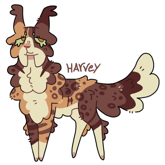 Harvey (for sh4rk0)