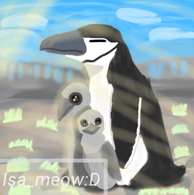 penguin