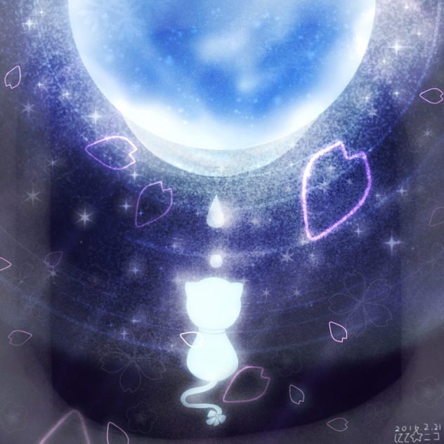 ⭐️猫と月🌙