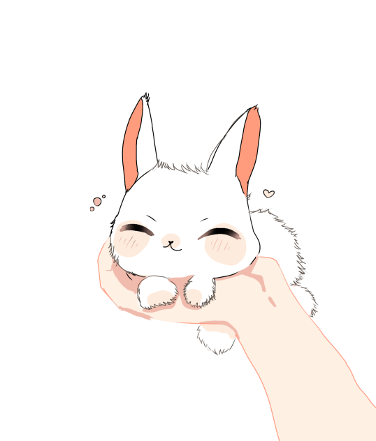 bunny 🩷