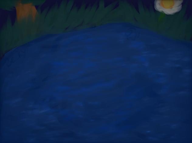 funni lake at night