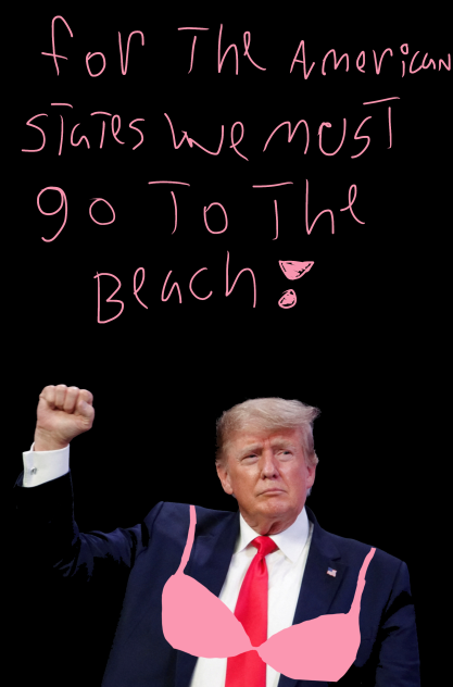 Donald Trump in a suit and bikini