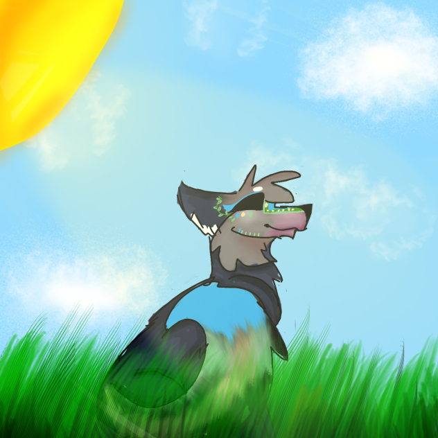 Raven in the sun