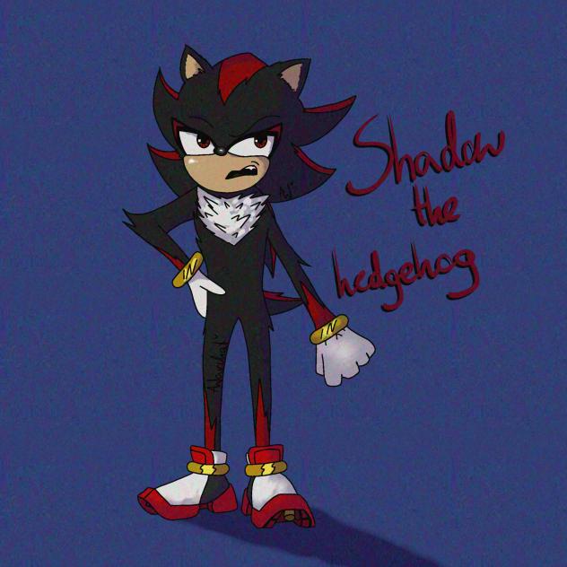 Shadow the hedgehog