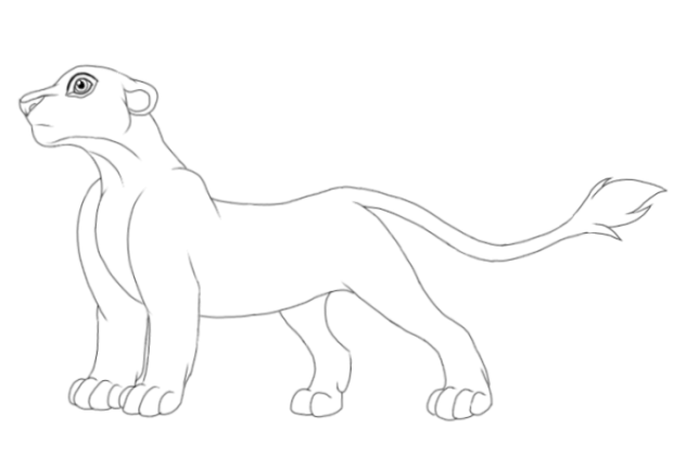 Free lioness lineart
