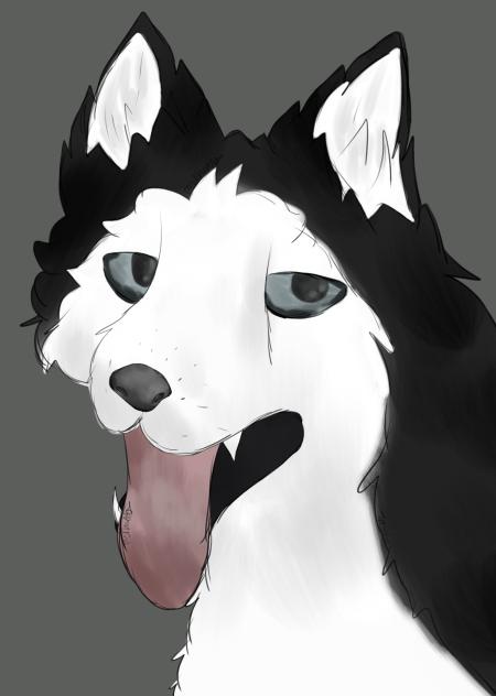 ^ Huskyyy ^