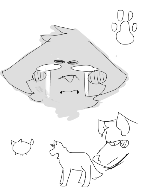 grr. animals