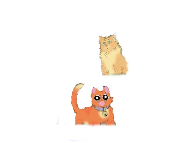 lol catito + fren