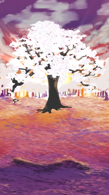 Sunrise with Sakura