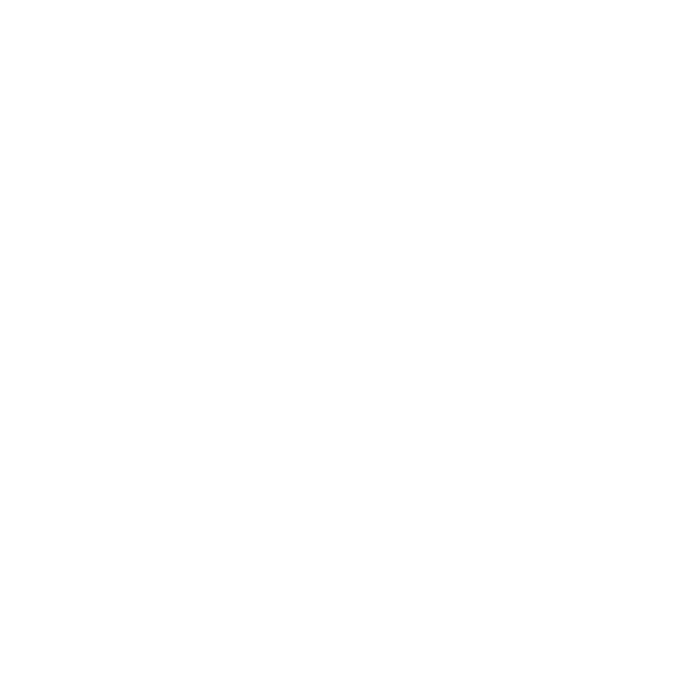Fireworks 花火 4