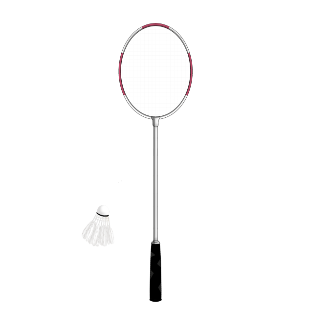 Badminton 🏸