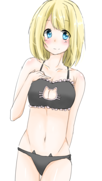 猫ランジェリー(適当