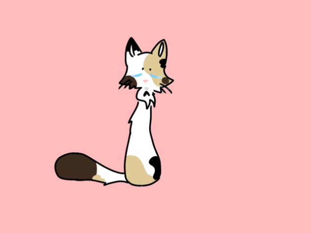 ★cats♥︎