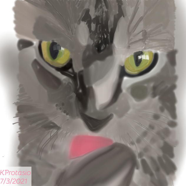 Cat - ibisPaint