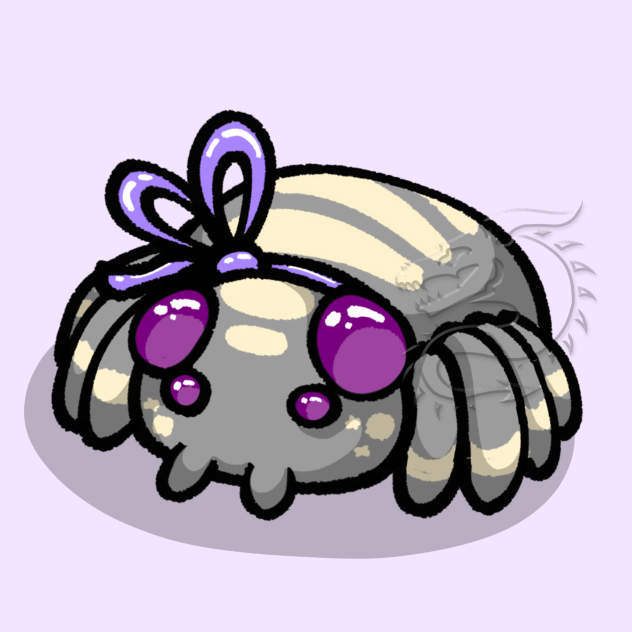 Rory the Spider