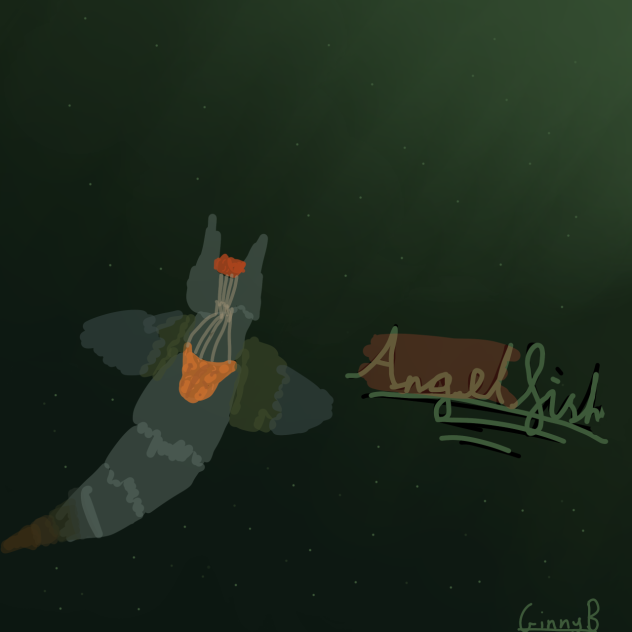 Angel fish