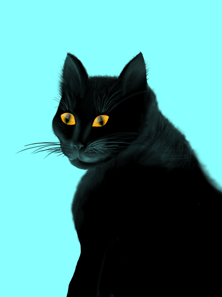 Cat - ibisPaint