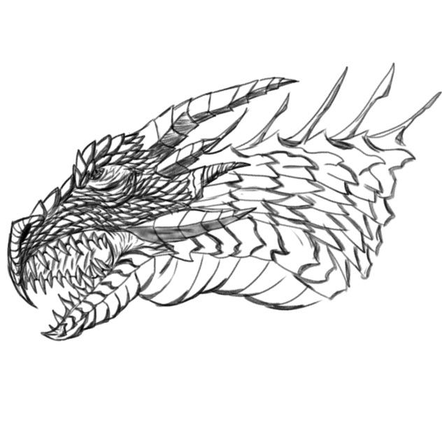 DRAGON SKETCH