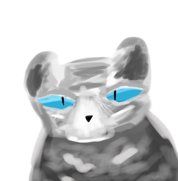 Realistic cat test