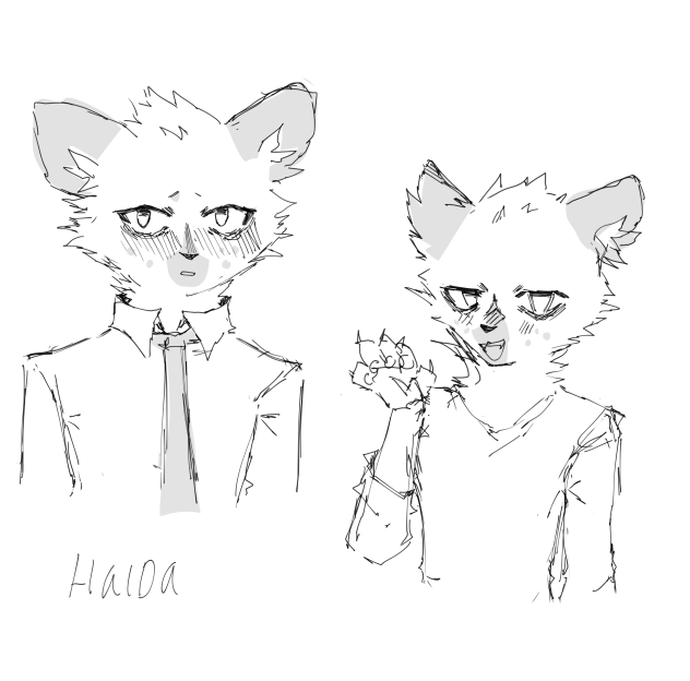 haida sketch