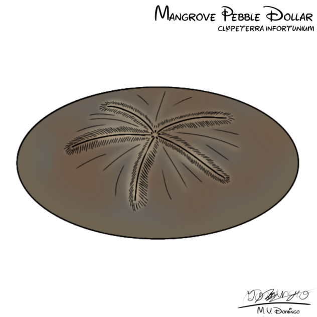 Mangrove Pebble Dollar