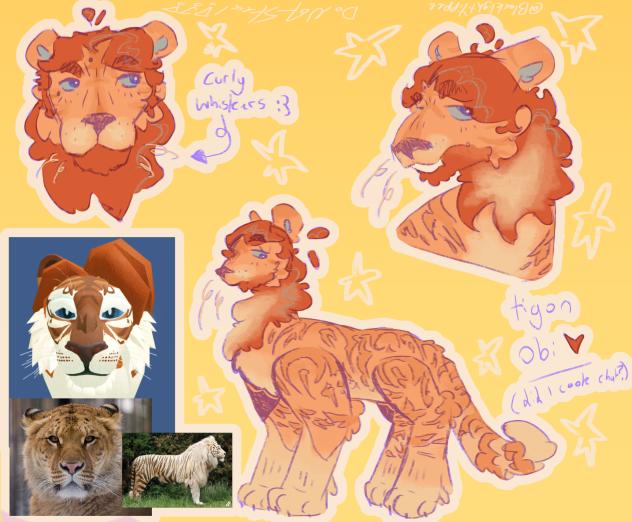 Tigon obi!!