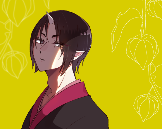 鬼灯 - ibisPaint