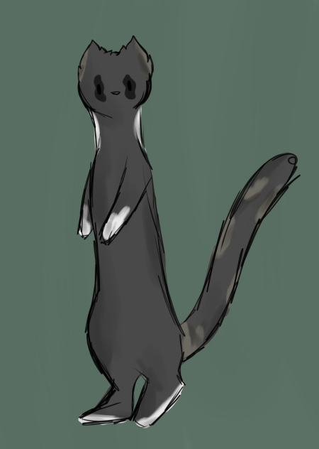 Zaiden