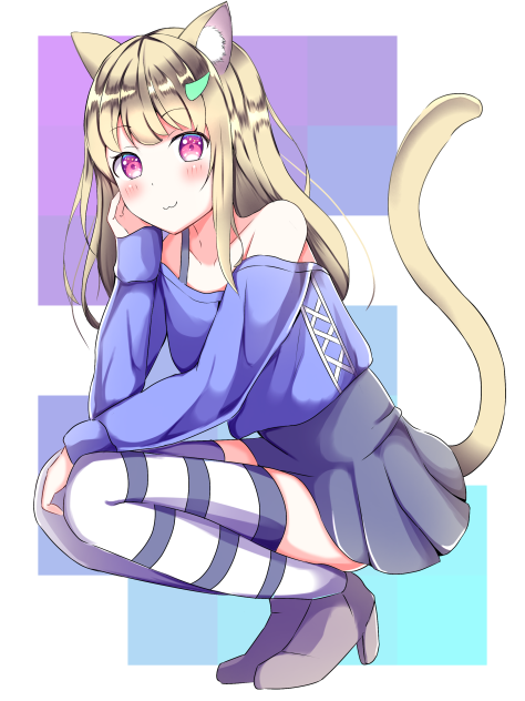 💙😺