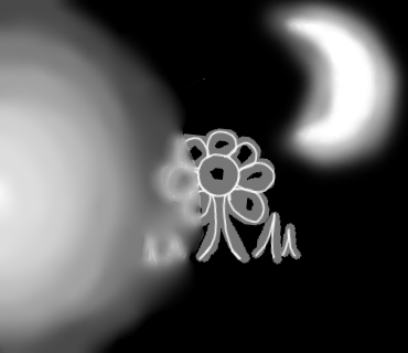 Flower Of Wonder.