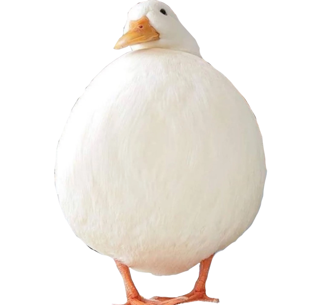 CHUBBY DUCK