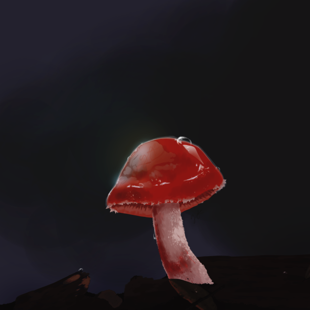 Shiny mushyroom.2024.07.23-12.40