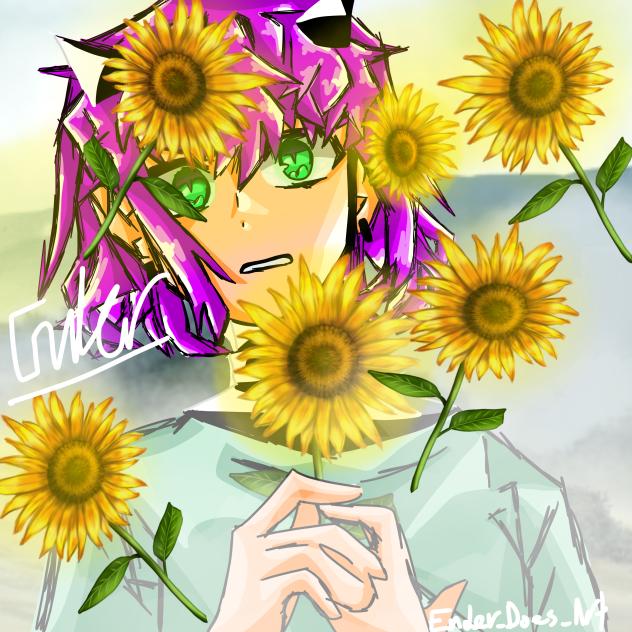 🌻Sunflower season🌻