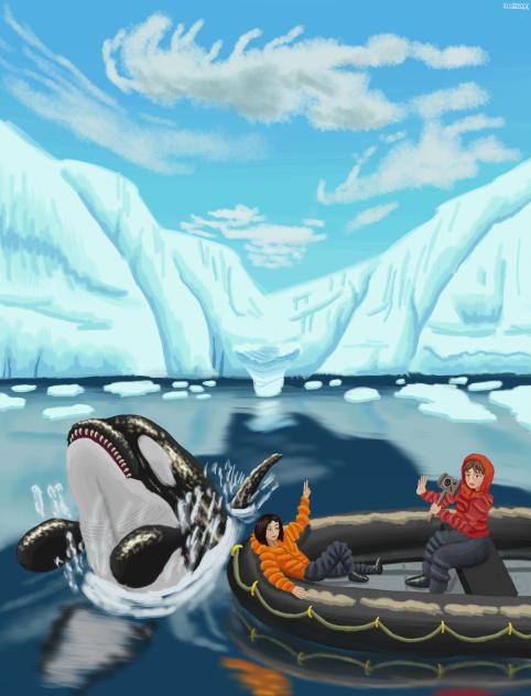 Icebergs and Orcas