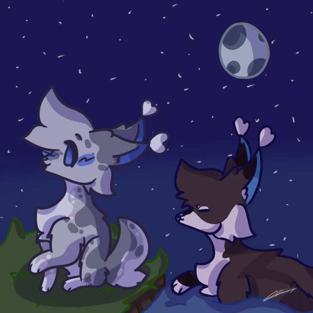 Nightly Visits