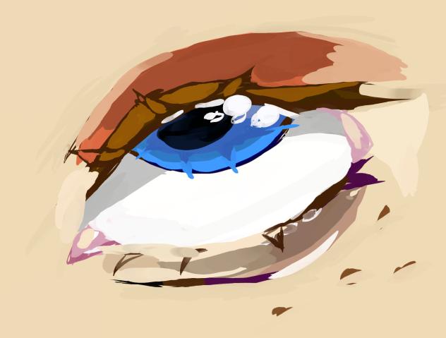 Eye