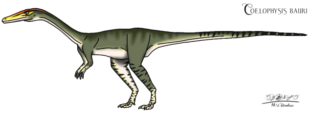 Coelophysis bauri (2023)